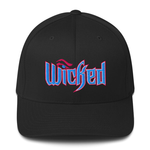 Wicked Structured Twill Cap - Image 4