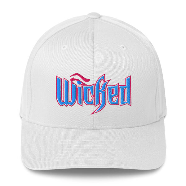 Wicked Structured Twill Cap - Image 7